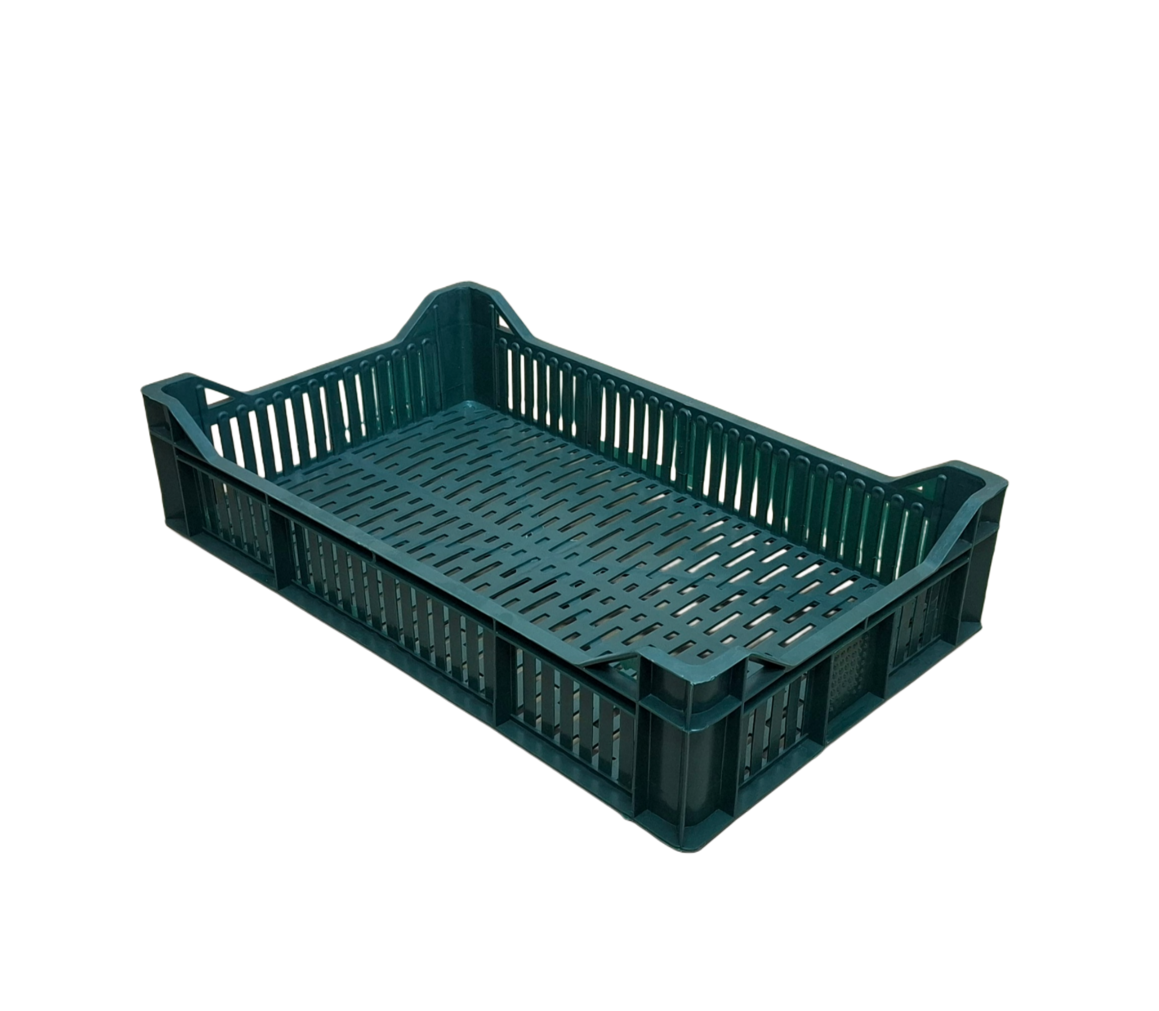 528H03/10035144 Nosiljka Holandez smb rebrasta 528h03