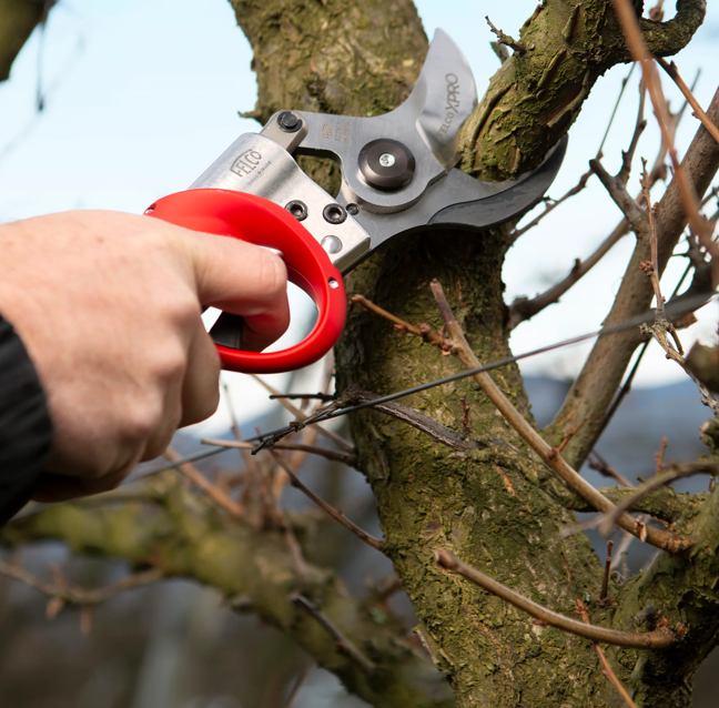 Felco 812 KIT + Felco 812 baterijske škare komplet +