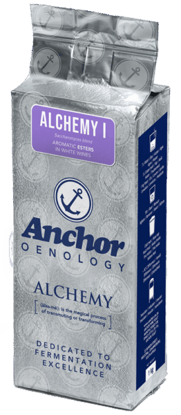 10531-07-80 Anchor Alchemy 1  1/1