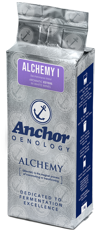 10531-07-80 Anchor Alchemy 1  1/1