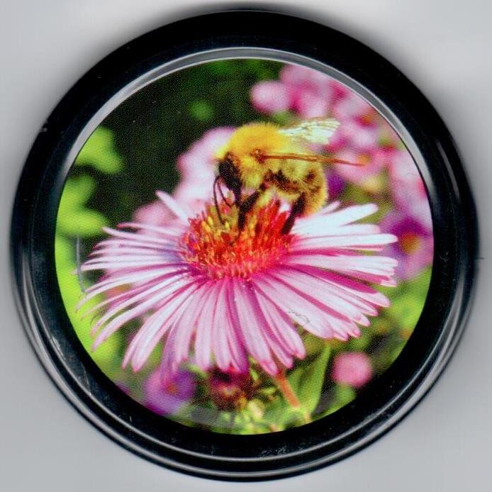 D-21 Zatvarač fi 82 crni sa ljubičastim cvijetom i pčelom / 630 D-21