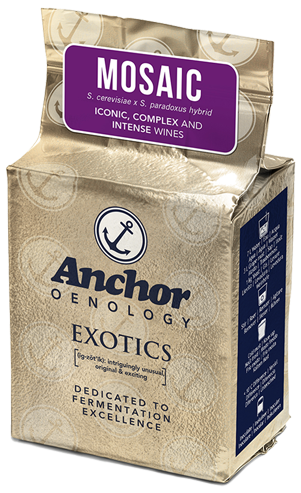 10339-04-80 Anchor Exotic MOSAIC 250 g