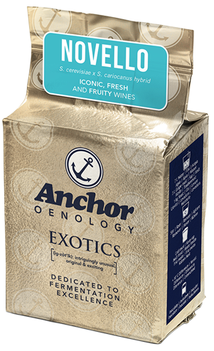 10411-04-80 Anchor Exotic NOVELLO 250 g