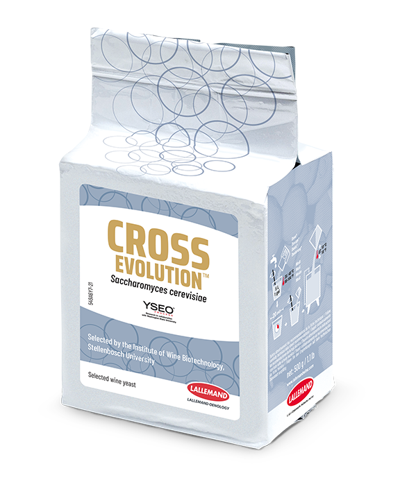 10549-06-Y7 Cross evolution HP 500 g