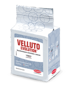 10360-06-Y7 Velluto  BMV 58 Yseo  500 g (R/D 360)