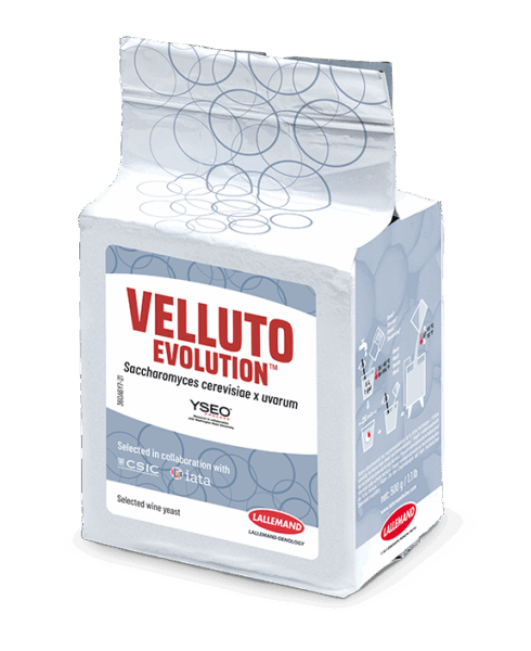 10360-06-Y7 Velluto  BMV 58 Yseo  500 g (R/D 360)