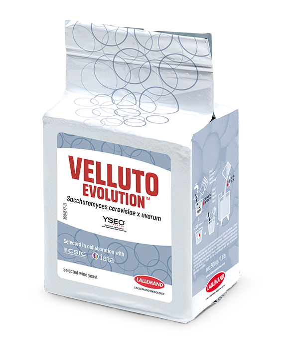 10360-06-Y7 Velluto  BMV 58 Yseo  500 g (R/D 360)