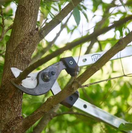 Felco 211-60 Felco 211-60, škare