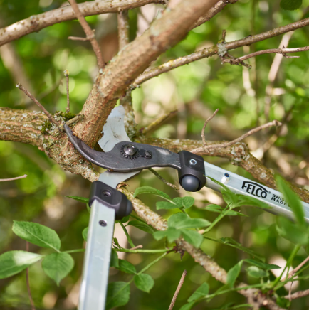 Felco 211-60 Felco 211-60, škare