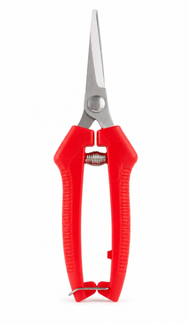 Škare za berbu - razne boje