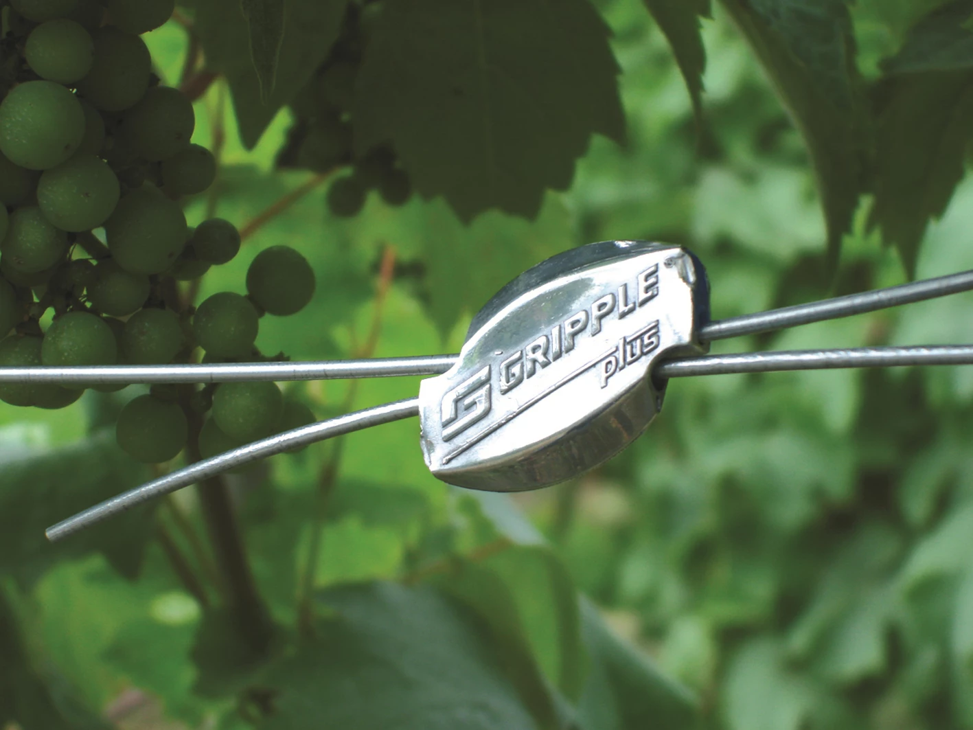 Product offering image