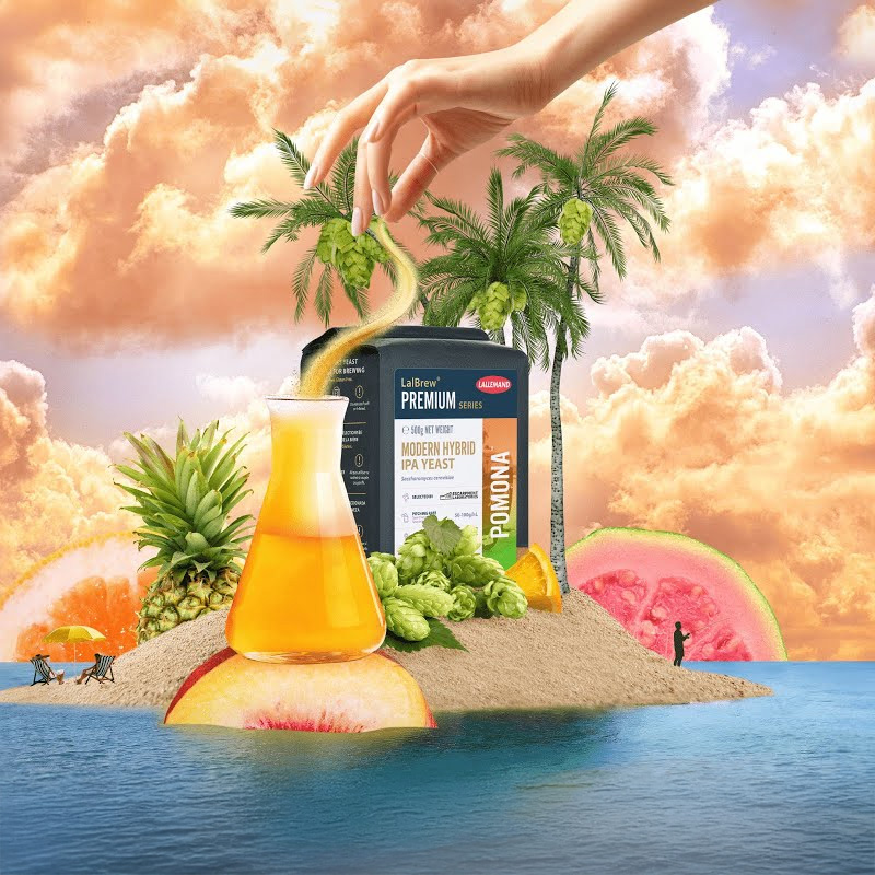 Product offering image